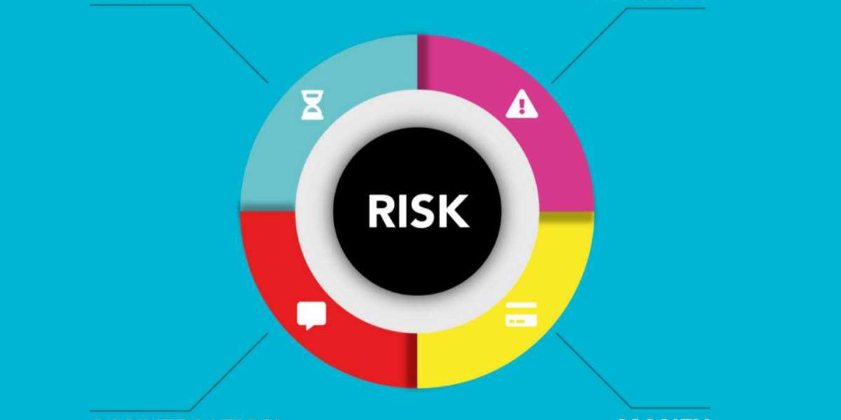 Managing Business Risk: An Introduction;