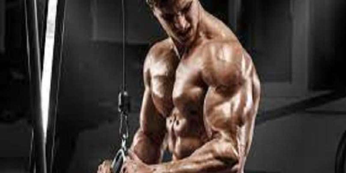 Best Testosterone Booster: Top 6 Testosterone Supplements for Men in 2022