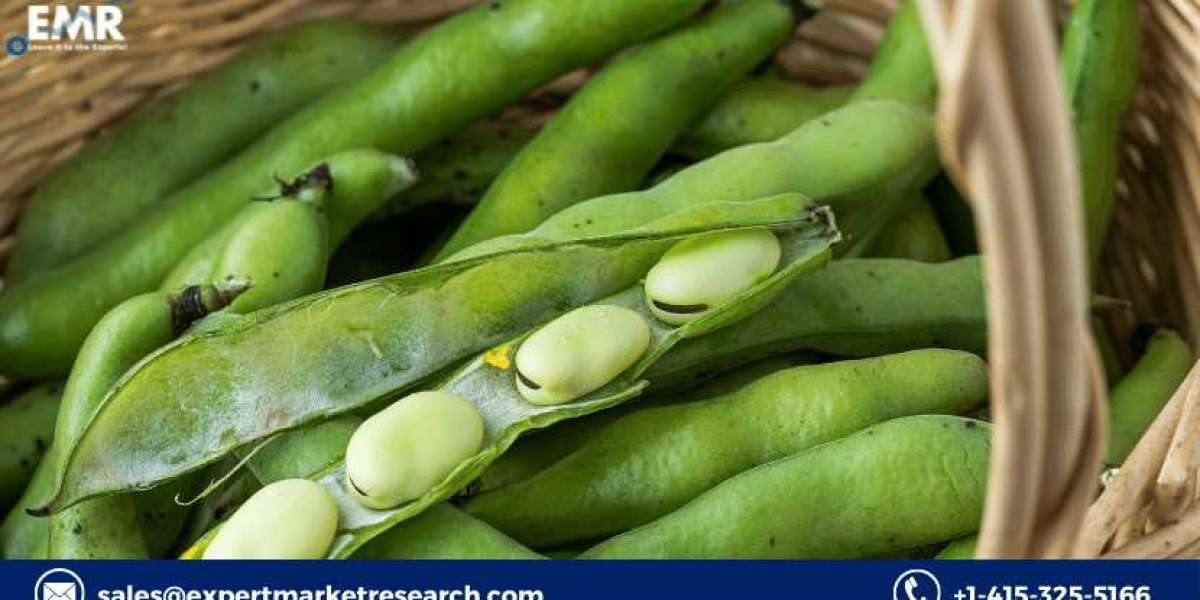 Global Fava Beans Market Size, Share, Price, Trends, Growth, Analysis, Report, Forecast 2021-2026