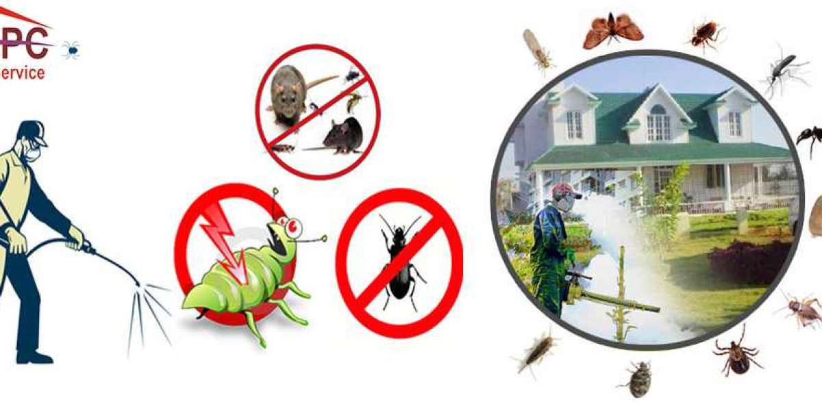 Pest Control Service Price in Gurgaon | Sai Pest Controlncr