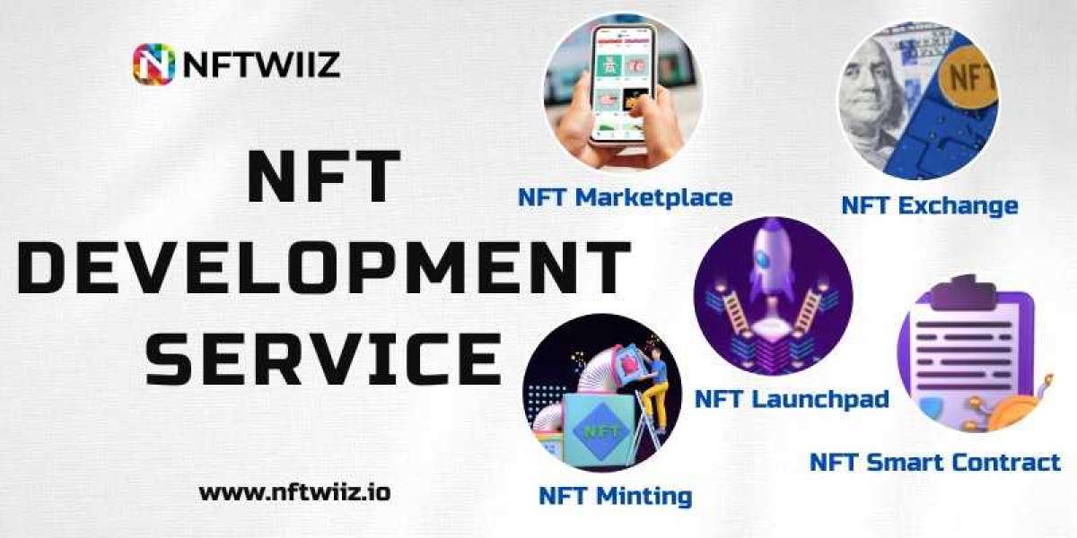 What are the various types of NFT development services?