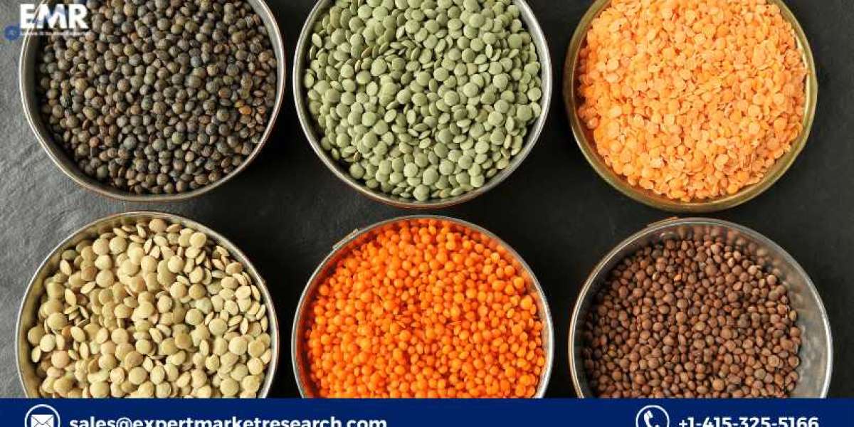 Global Lentil Market Size, Share, Price, Trends, Growth, Analysis, Report, Forecast 2021-2026