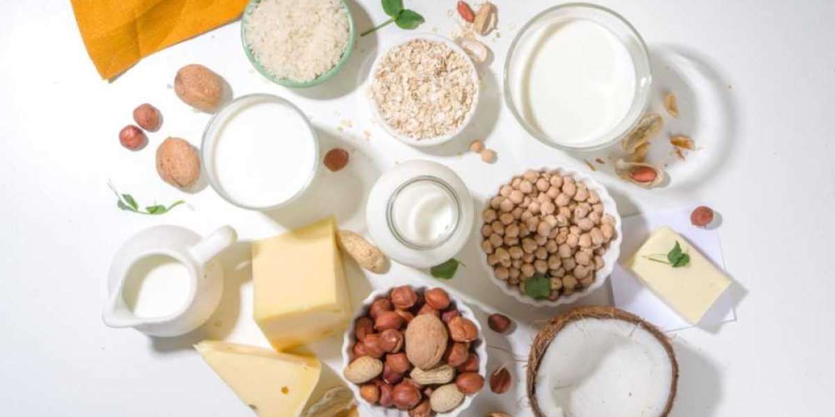 Alternative Proteins Market: A Look at the Industry's Growth and Future Prospects