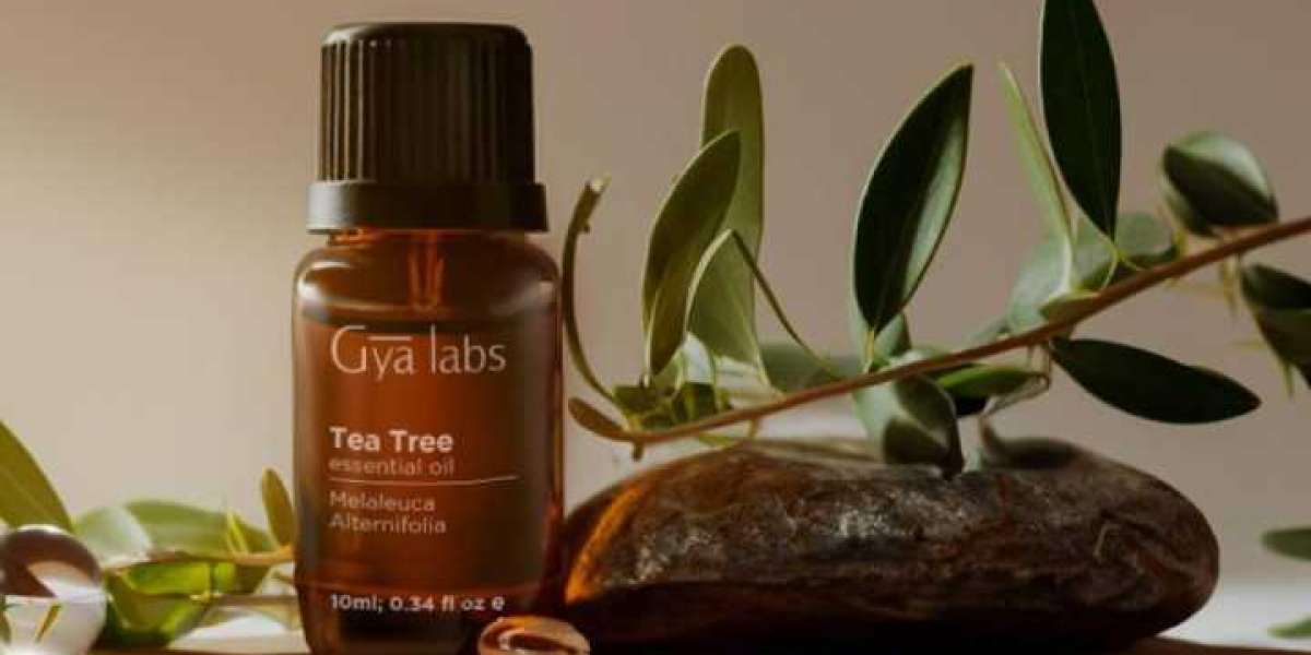 Balancing Act: Tea Tree Oil for Oily Skin
