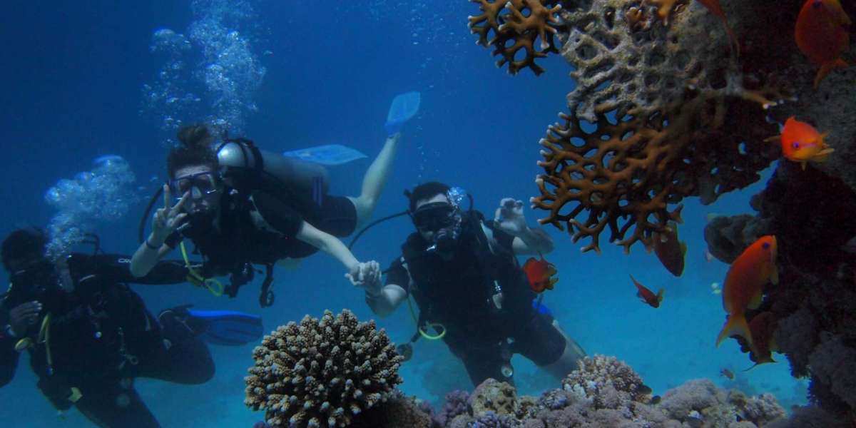 Embark on an Underwater Adventure: Scuba Diving Courses in Lakshadweep