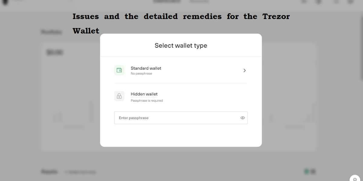 Issues and the detailed remedies for the Trezor Wallet