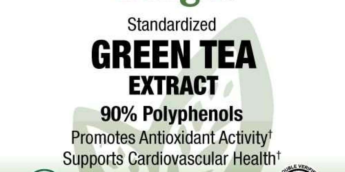 Harnessing the Power of Green Tea Extract: A Comprehensive Guide