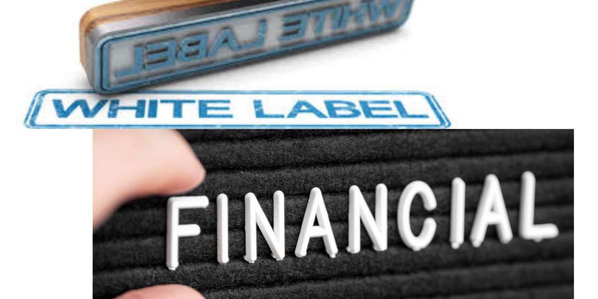 The Power of Customized Financial Services Through White Label Solutions