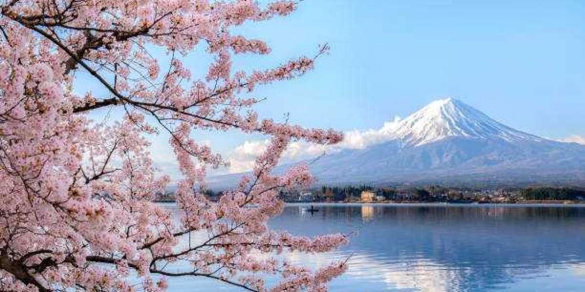 Embrace the Magic of Mount Fuji: Your Gateway to Fuji Tours